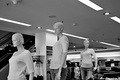 Modelky