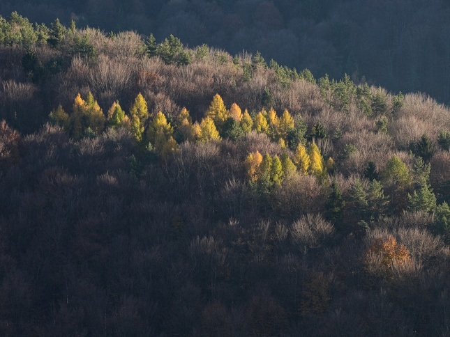 Na hrebeni