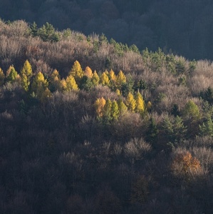 Na hrebeni