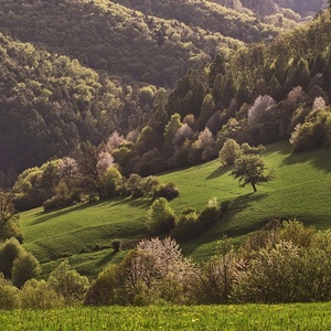 Jar pod Vršatcom