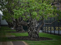 Zákutia Londýna 6.