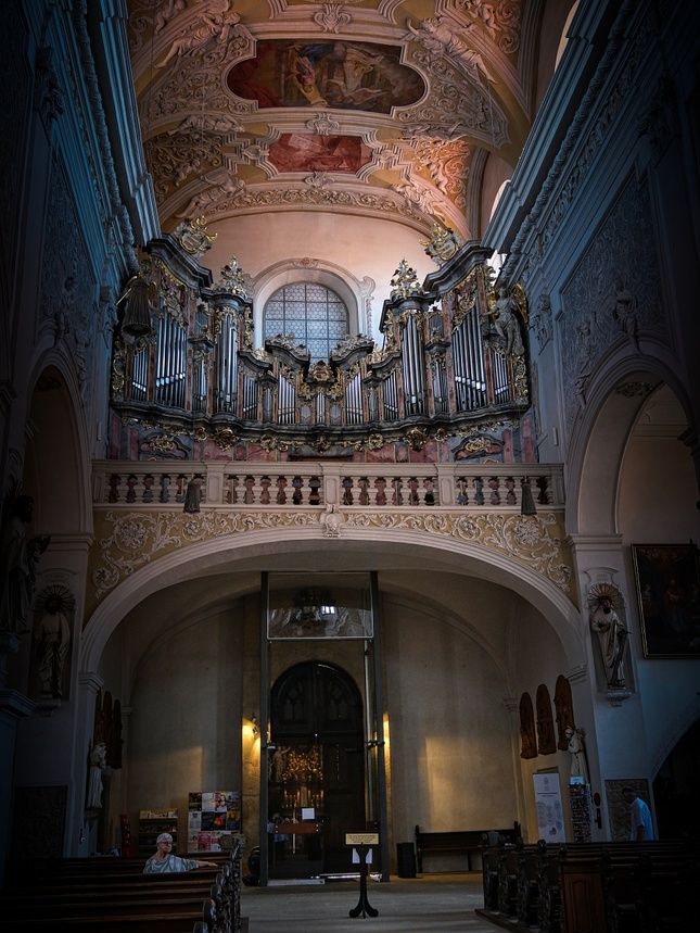Organ