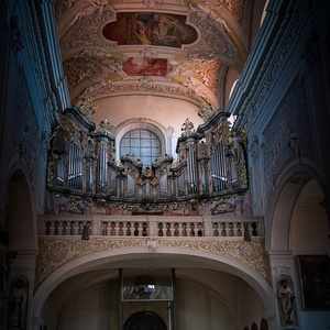 Organ