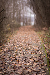 long long way ...