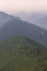 rozsutec