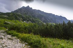 tatry