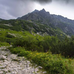 tatry