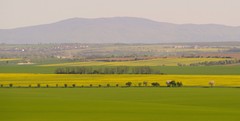 urodne polia