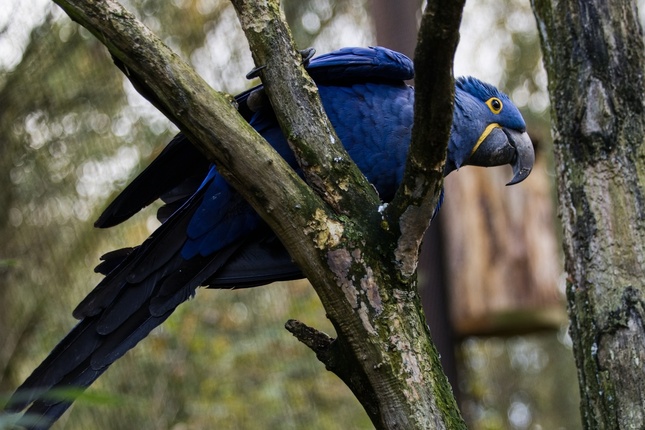 ZOO ZLÍN