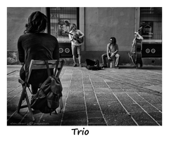 Trio