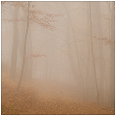 November