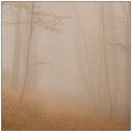 November