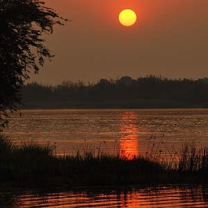 Viktoriino jezero