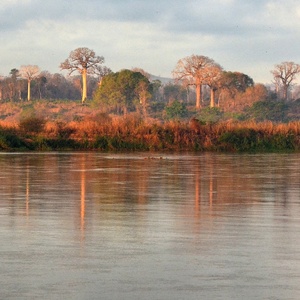 Svítání na řece Tsiribina