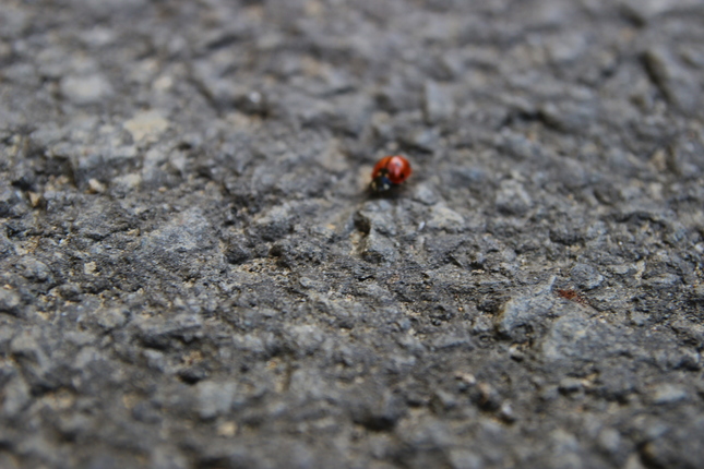 na hraniciach ostrosti...