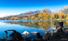 Úžasné Tarty - Štrbské pleso