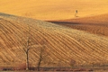 Turčianske polia