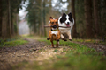 Run run run Ola :-)