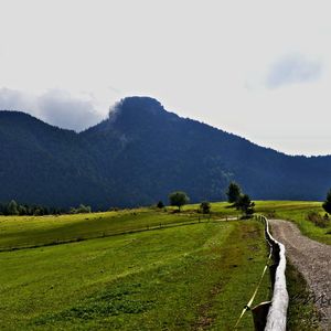 medzi Zazrivou  a Terchovou