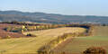 Pole lemované