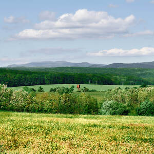 Hostianske