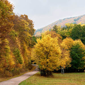 Malebná dolina