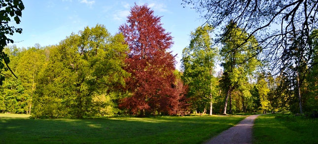 Betliarsky park