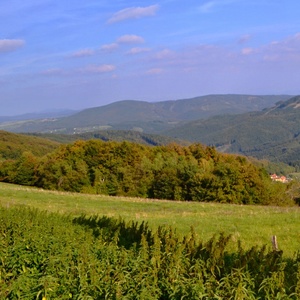 Moravské kopanice
