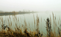 rybník v hmle