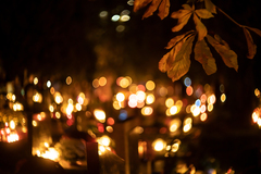 svetlá za gaštanom