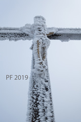 PF 2019