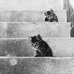 Na schodoch....