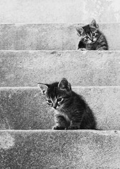 Na schodoch....2.