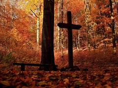 ... vítr tančil v listí....