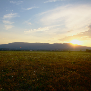 sunset landscape