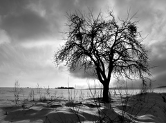 strom