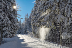 Cestou na Štrbské Pleso