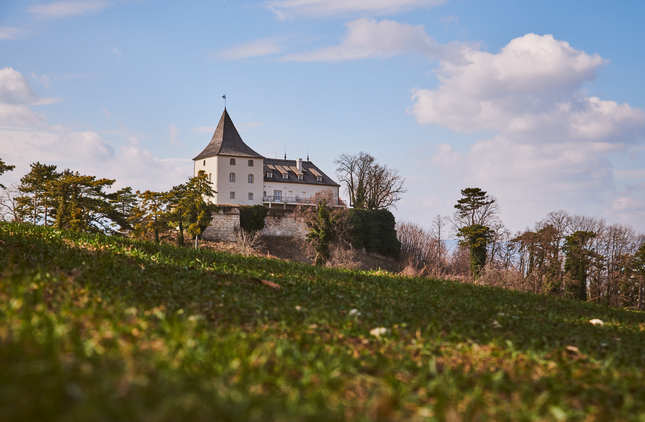 Schloss Pitten