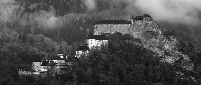 Orava