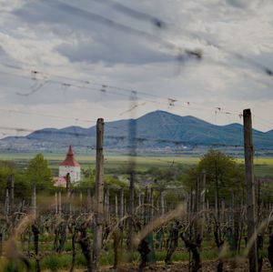 Tokaj