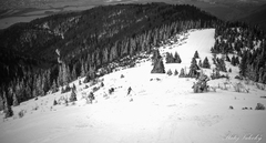 Pod Meškalkou