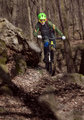 Jarný trail