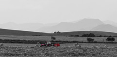 FARMER