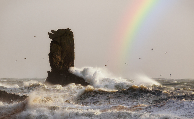 wild weather wild ocean