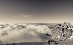 Monochrome