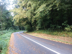 Jedna jesenna
