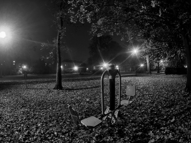 noc v parku