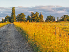 zlatá hodinka