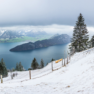 Rigi