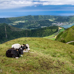 Sete Cidades